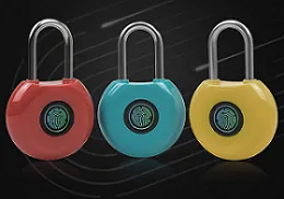 指紋掛鎖銀/黑色 851-FL10 歷史價格詳細信息