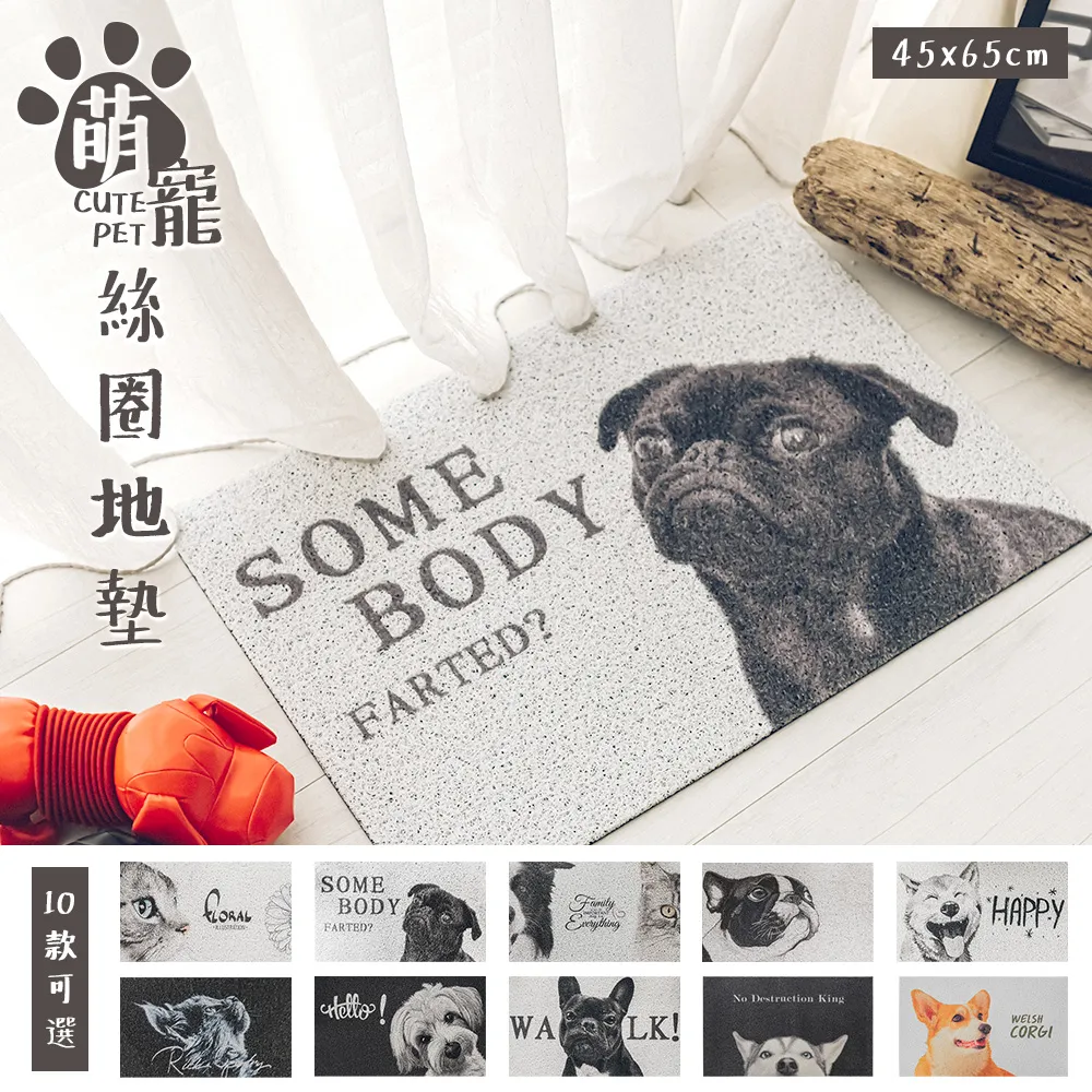 【dayneeds】45x45cm 一次性方格平面網 - 五入 歷史價格詳細信息