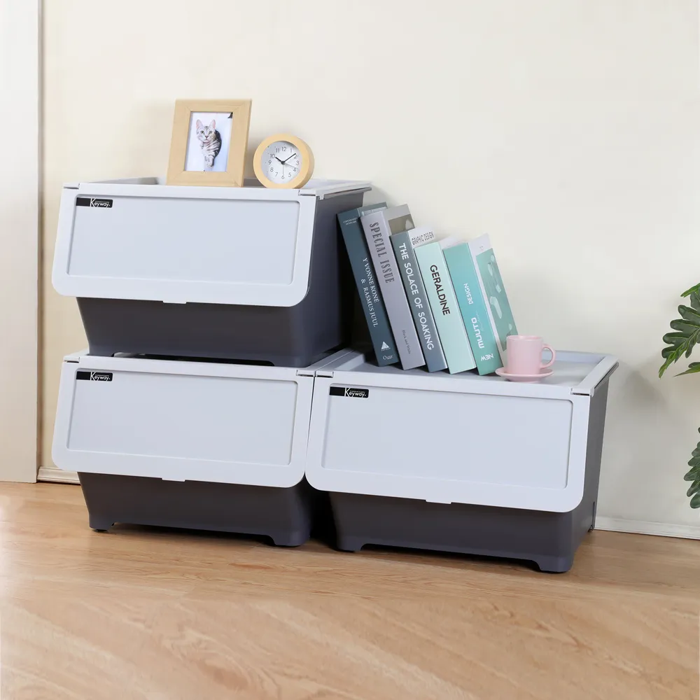 KEYWAY直取式38L收納箱1~3入組臺製【時尚屋收納】 歷史價格詳細信息