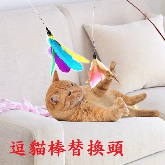 逗貓棒替換頭 羽毛 三羽 四羽 單包裝 貓咪最愛 消耗體力好幫手 飼主好睡小物 歷史價格詳細信息
