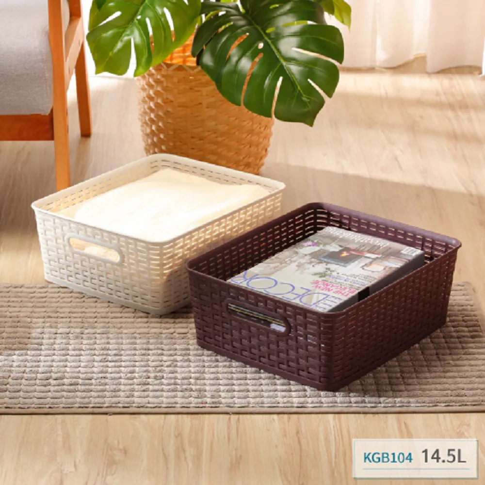 藤藝101收納籃 置物盒 收納盒(2入組) 歷史價格詳細信息