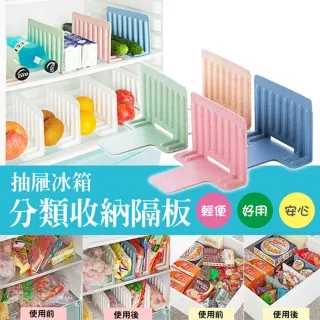 冰箱抽屜分儲先科冰箱下冷凍家用租房雙開門兩門電冰箱一級節能省冰櫃 歷史價格詳細信息