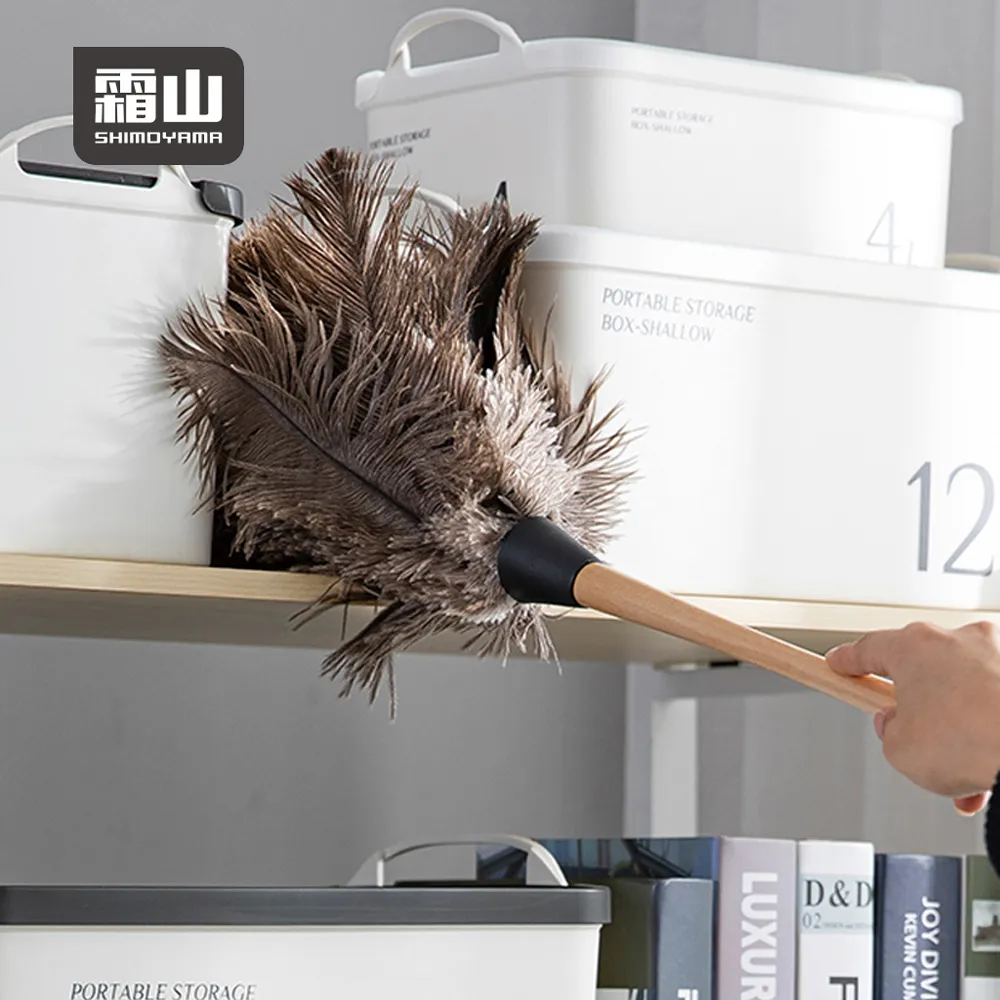 【日本霜山】日式紫竹柄天然棕櫚掃把(50cm) 歷史價格詳細信息