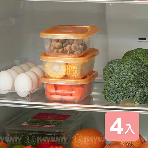 賞味長型保鮮盒/儲物盒/冷藏盒(3入) 歷史價格詳細信息