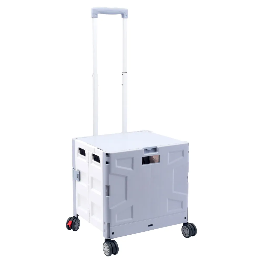 TRENY 折疊加厚環保購物袋 歷史價格詳細信息