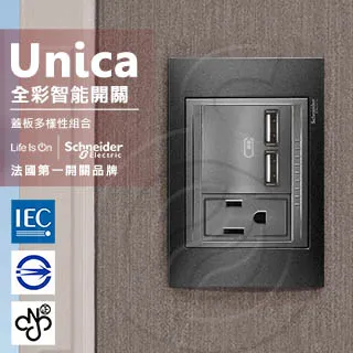 法國Schneider Unica Top雙USB插座/單插座(附接地極)(金屬銅外框) 歷史價格詳細信息
