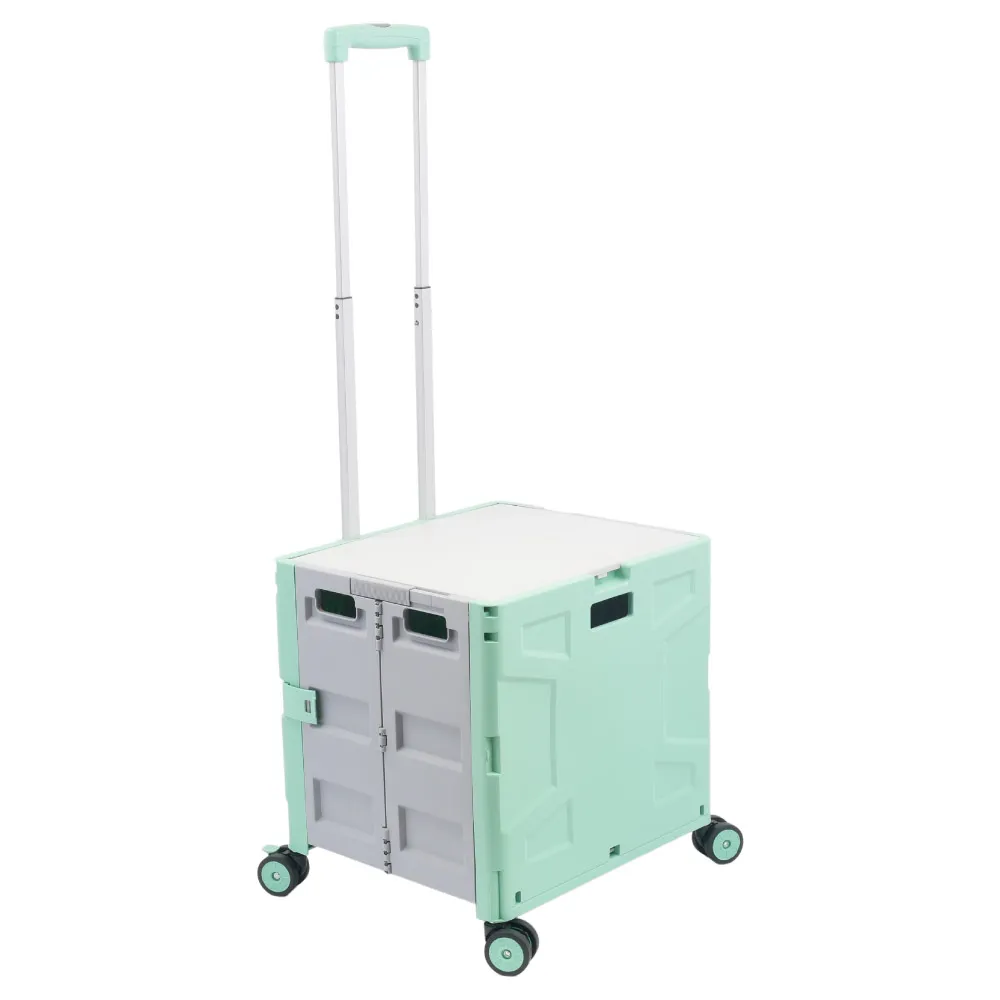 TRENY 折疊加厚環保購物袋 歷史價格詳細信息