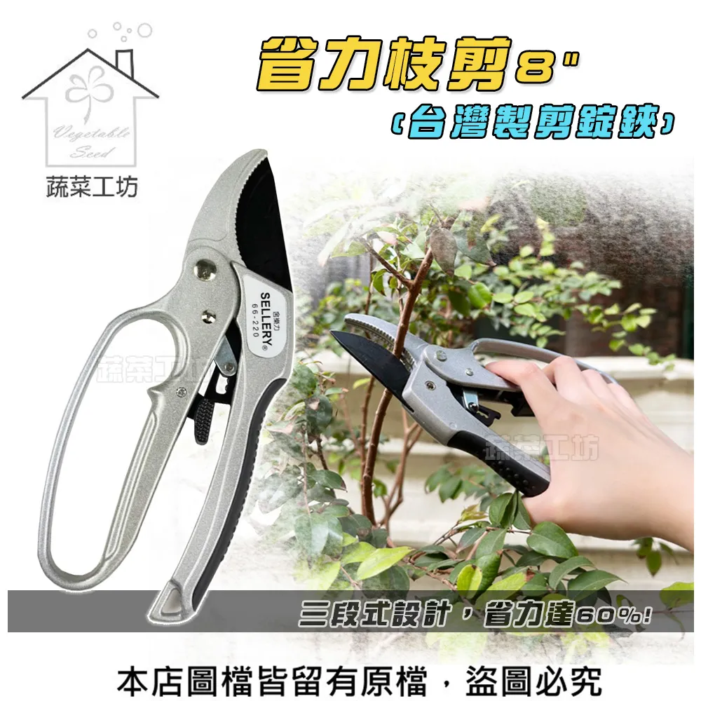 【蔬菜工坊】台灣專利製造農總黏誘蟲黏紙--30張/包 (直立式) 歷史價格詳細信息