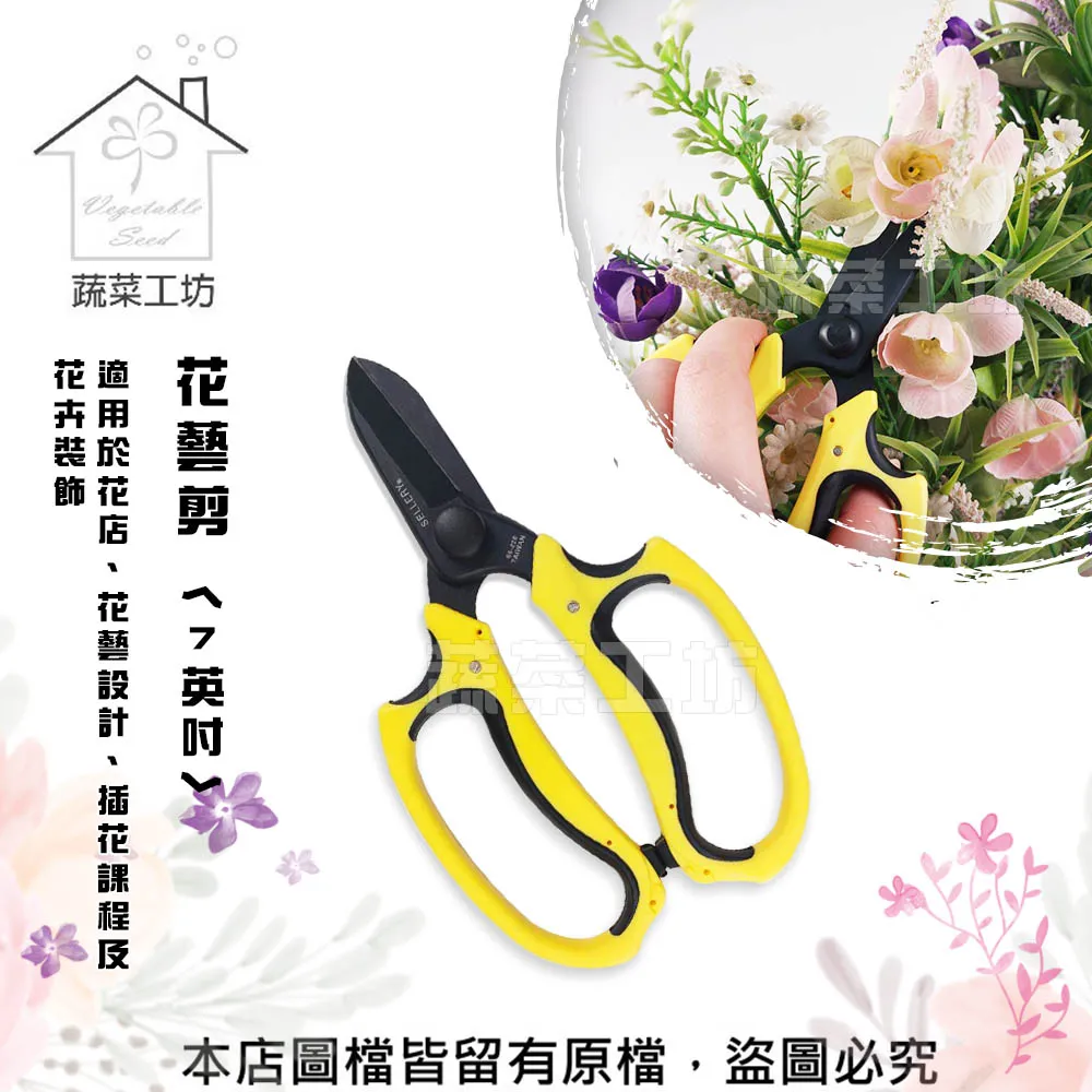 英式花藝實作課：獨門鮮花處置法，延長切花2週鑑賞期！以最精簡花材，玩出各式瓶花、盆花、桌花 方言出版集團 歷史價格詳細信息