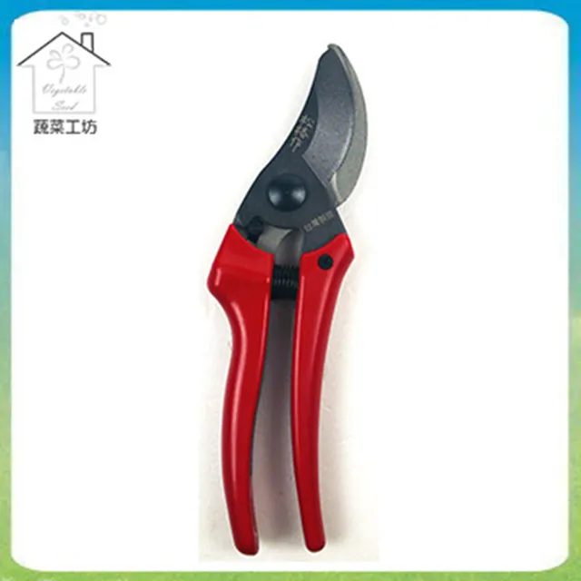 【蔬菜工坊】松格德式單刀刃中獅牌剪定鋏(型號A031A) 歷史價格詳細信息