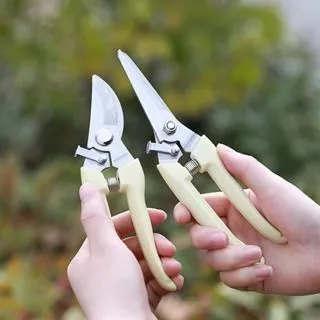 N0694 【東京熱】中文 / 富永杏 現役モデル3穴血祭り輪姦 歷史價格詳細信息