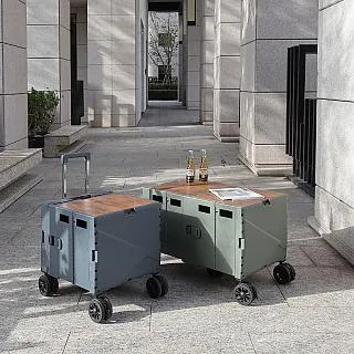 折疊收納手推車 55L 大款/露營車/購物車/置物推車/折疊拉車/收納箱/收納籃/行動手拉車 歷史價格詳細信息