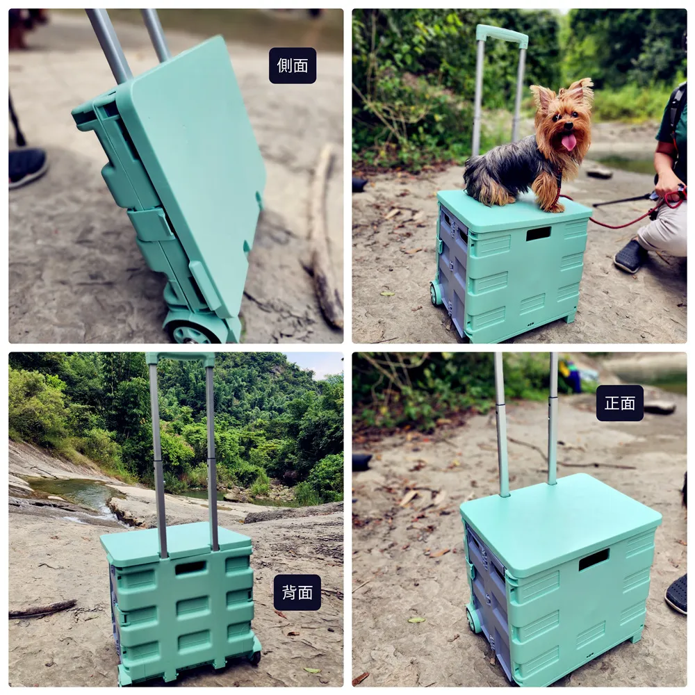 摺疊拉伸式鋁合金三腳架自拍杆桌面視頻拍照手機懶人支架 歷史價格詳細信息