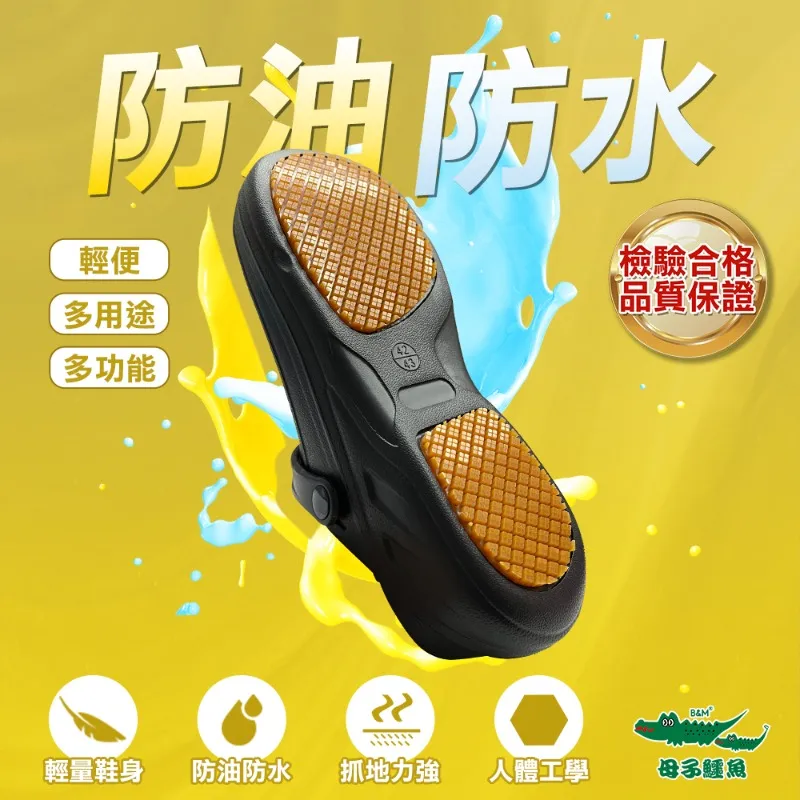 無懼黑暗：自願臥底納粹集中營的英雄【全新修訂版】【金石堂】 歷史價格詳細信息