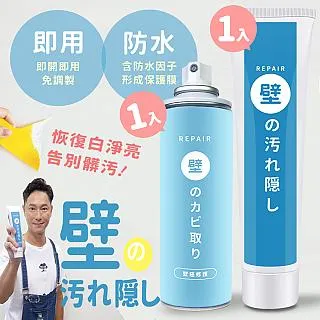 壁癌救星 牆面快速修補膏 防水修復補牆膏 歷史價格詳細信息