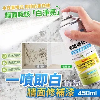 牆面修補漆 500g(滾筒漆 油漆滾筒刷 補牆漆 油漆刷 免沾手) 歷史價格詳細信息