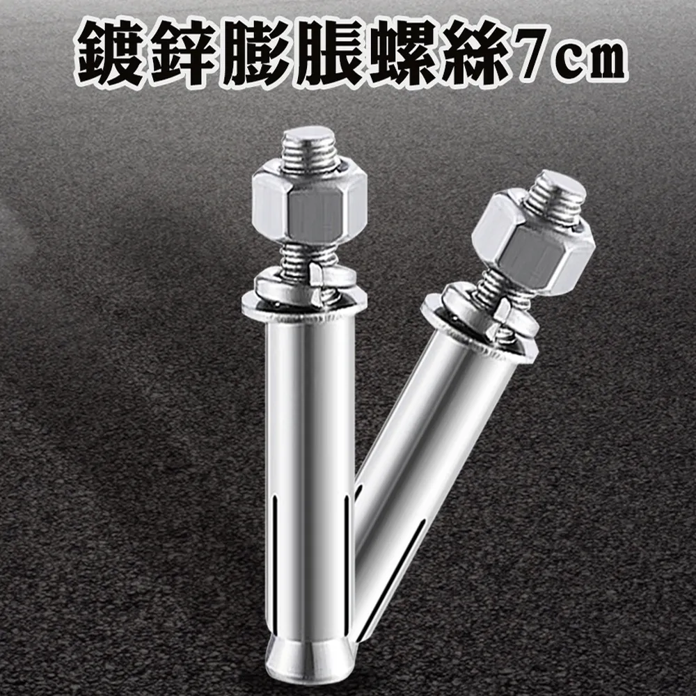 10入 鍍鋅膨脹螺絲8公分長(粗) B-SUSS8T 歷史價格詳細信息