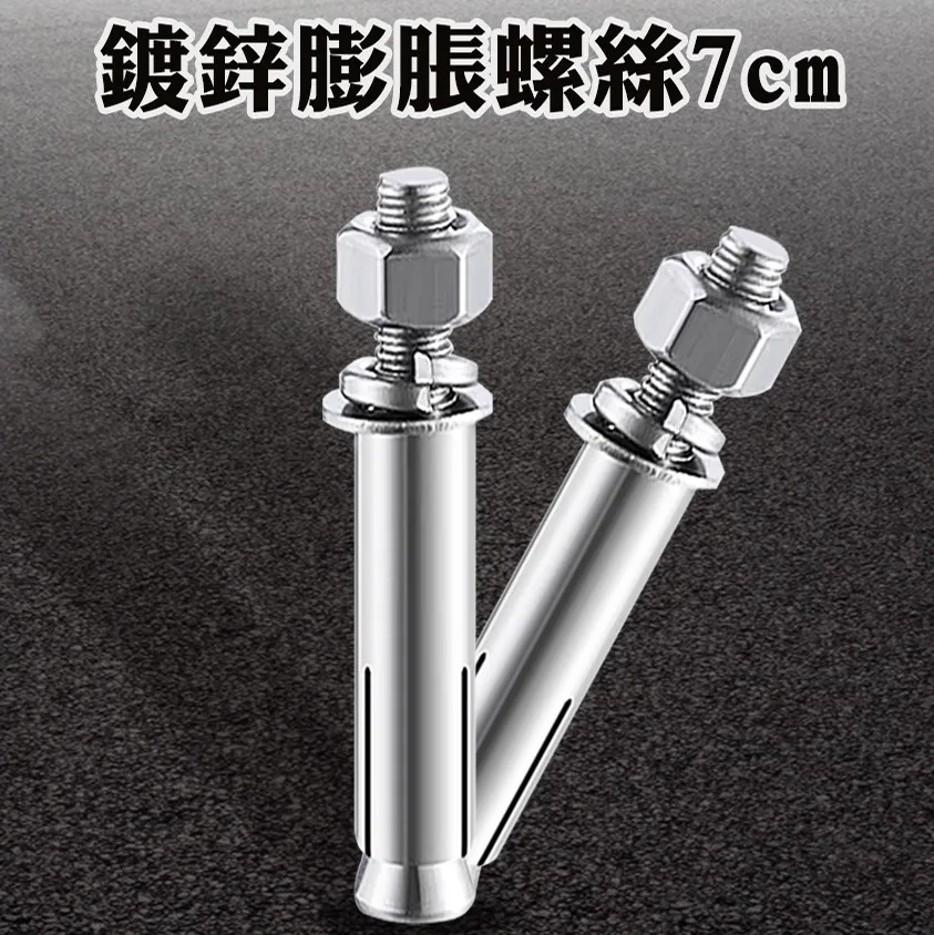 10入 鍍鋅膨脹螺絲8公分長(粗) B-SUSS8T 歷史價格詳細信息