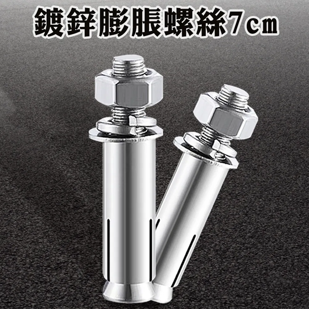 10入 鍍鋅膨脹螺絲8公分長(粗) B-SUSS8T 歷史價格詳細信息