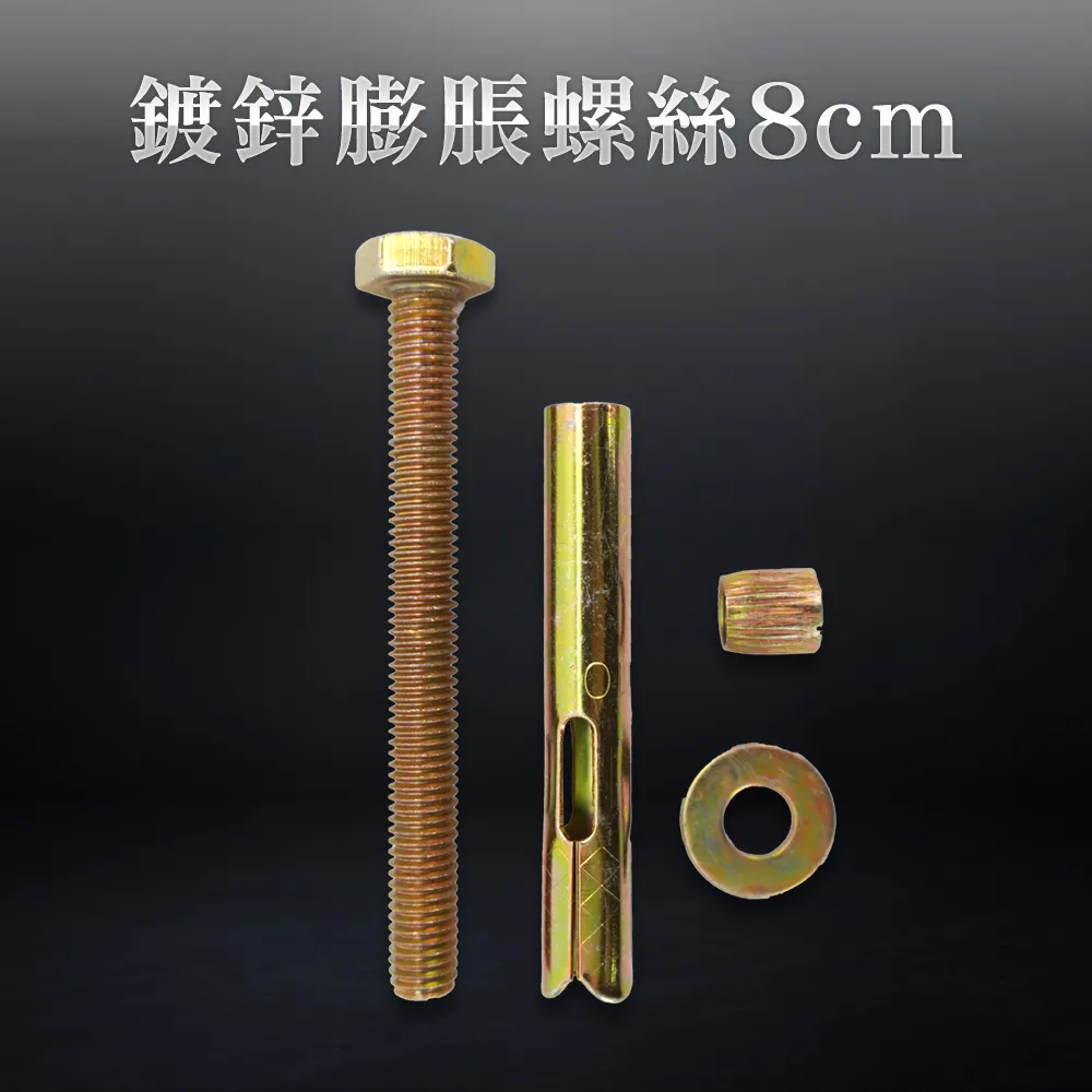 10入 鍍鋅膨脹螺絲8公分長(粗) B-SUSS8T 歷史價格詳細信息