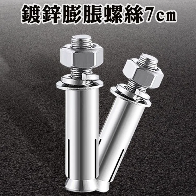 10入 鍍鋅膨脹螺絲8公分長(粗) B-SUSS8T 歷史價格詳細信息