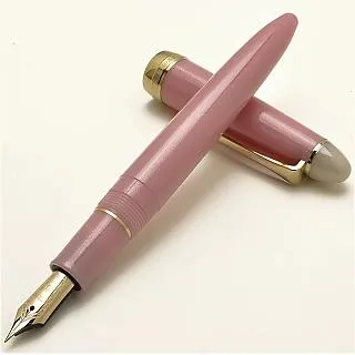 Sailor 寫樂 Young Profit 青年鋼筆-黑身銀夾(11-0520) 歷史價格詳細信息