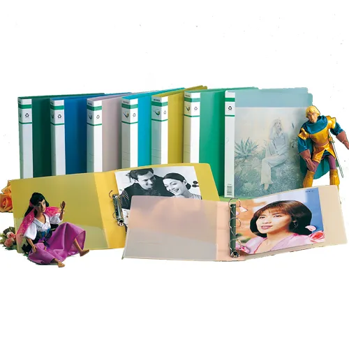 HFPWP 10入 E3735A A3&A4透明卷宗文件夾 歷史價格詳細信息