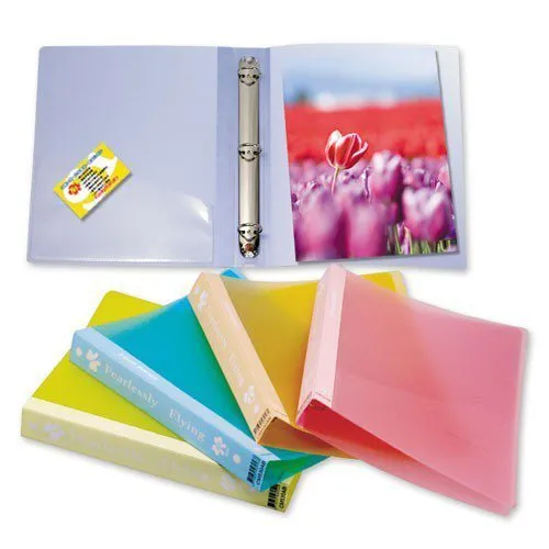 HFPWP 10入 E3735A A3&A4透明卷宗文件夾 歷史價格詳細信息