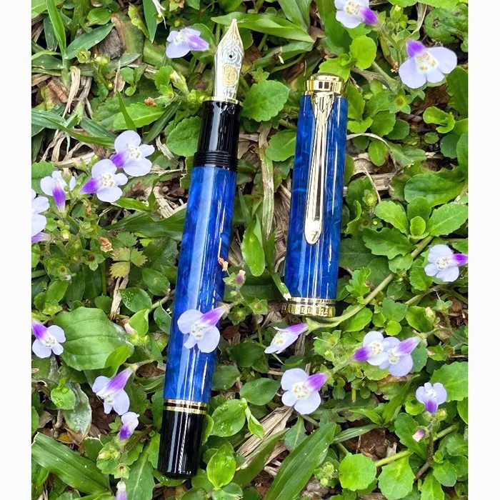 Pelikan 百利金 M800 鋼筆 透明示範筆 F 歷史價格詳細信息