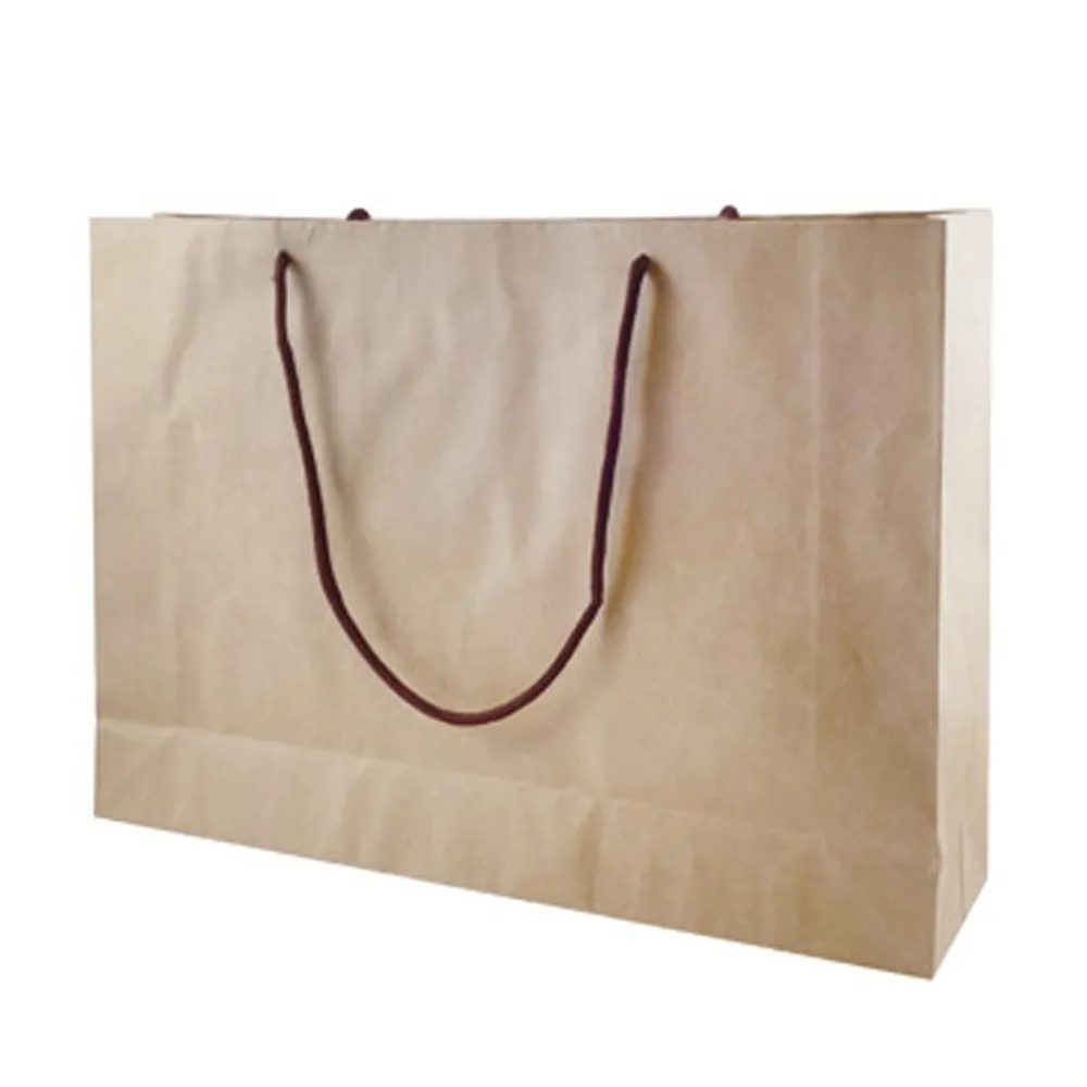 [2包10個] Panasonic 國際牌 吸塵器紙袋 集塵紙袋 MC-3300 對應 TYPE C-13-1 歷史價格詳細信息