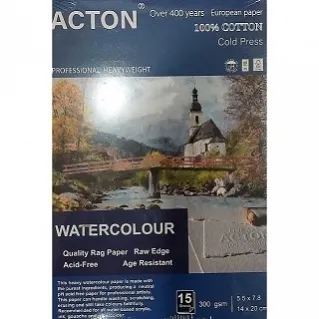 歐洲製 雅頓 ACTON 插畫/版畫紙 35 x 50 cm 3 0張入 190g/㎡ 歷史價格詳細信息