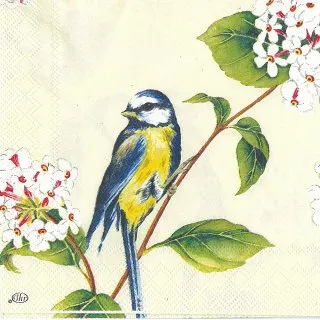 B002 膠原肰美麗粉包(綜合莓風味)  8.5公克/包 15包/盒 歷史價格詳細信息