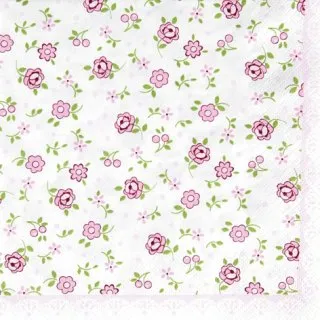 餐巾紙2入-S006 歷史價格詳細信息