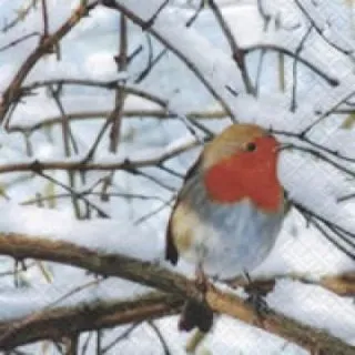 餐巾紙2入-S006 歷史價格詳細信息