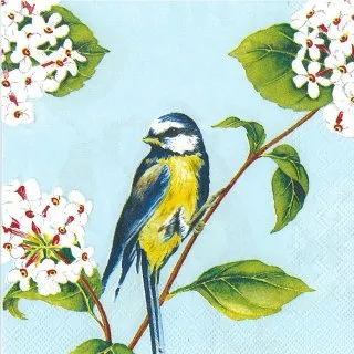 餐巾紙2入-S006 歷史價格詳細信息