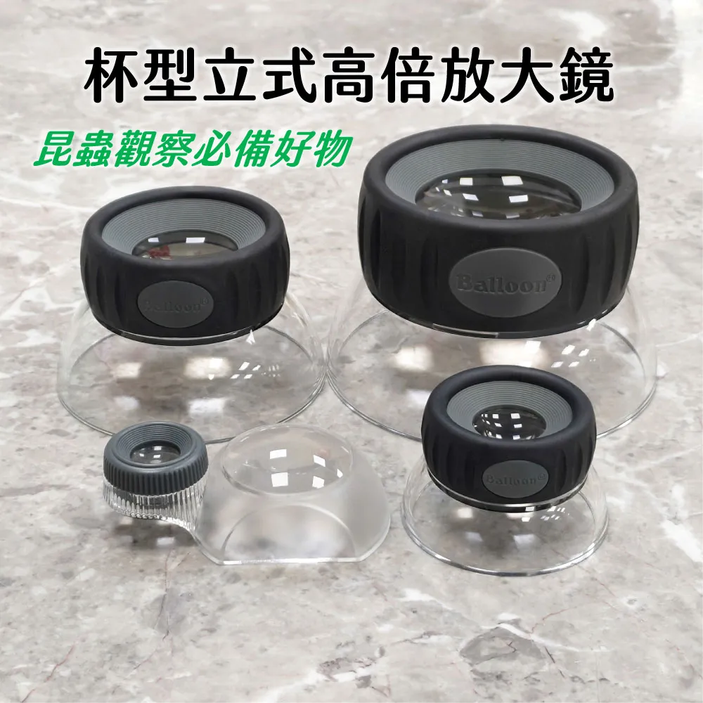 N2519 漳州文化叢書 謝東主編 海風出版 2005年 歷史價格詳細信息