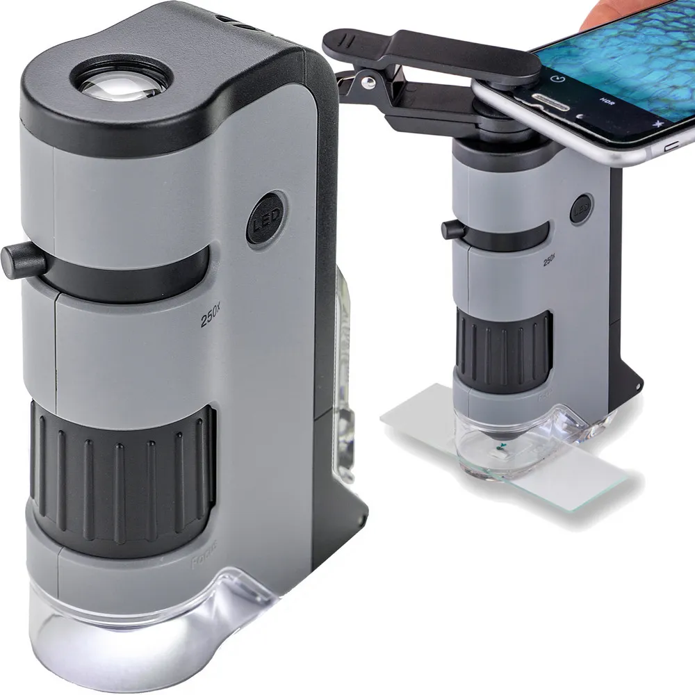 CARSON LED針線折疊放大鏡(11.5x) 歷史價格詳細信息