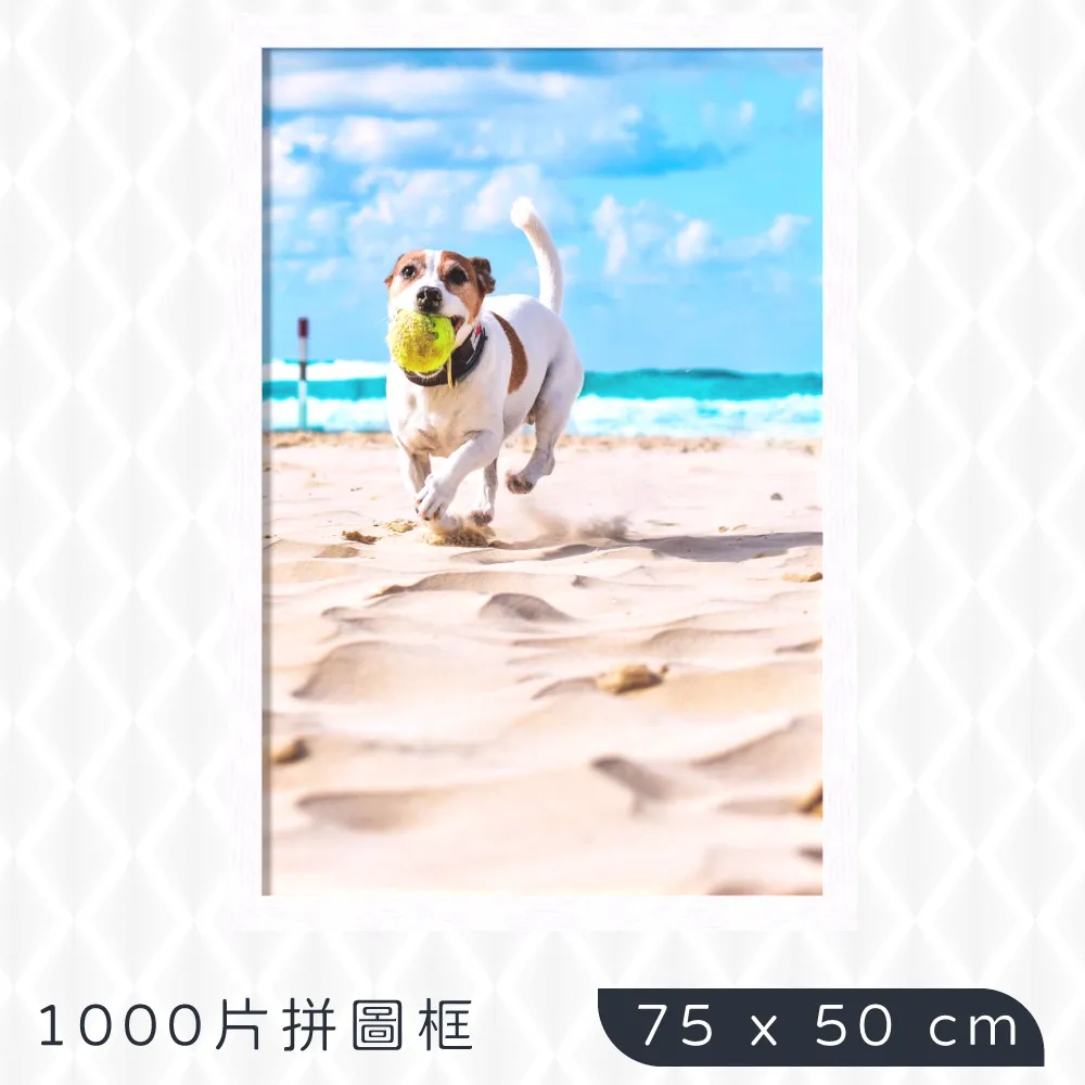 1000片拼圖框 尺寸: 48.3x68.3cm 此商品為訂製客製化商品無猶豫鑑賞期 歷史價格詳細信息