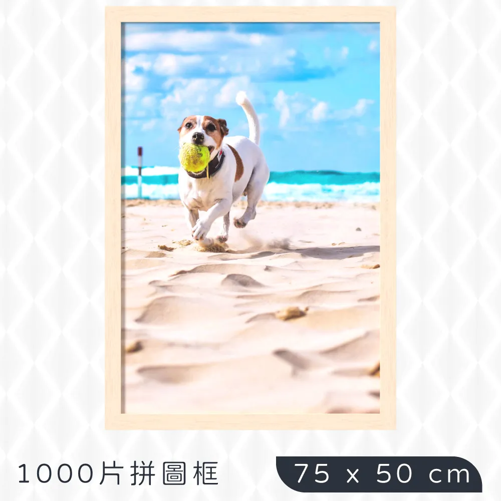 1000片拼圖框 尺寸: 48.3x68.3cm 此商品為訂製客製化商品無猶豫鑑賞期 歷史價格詳細信息