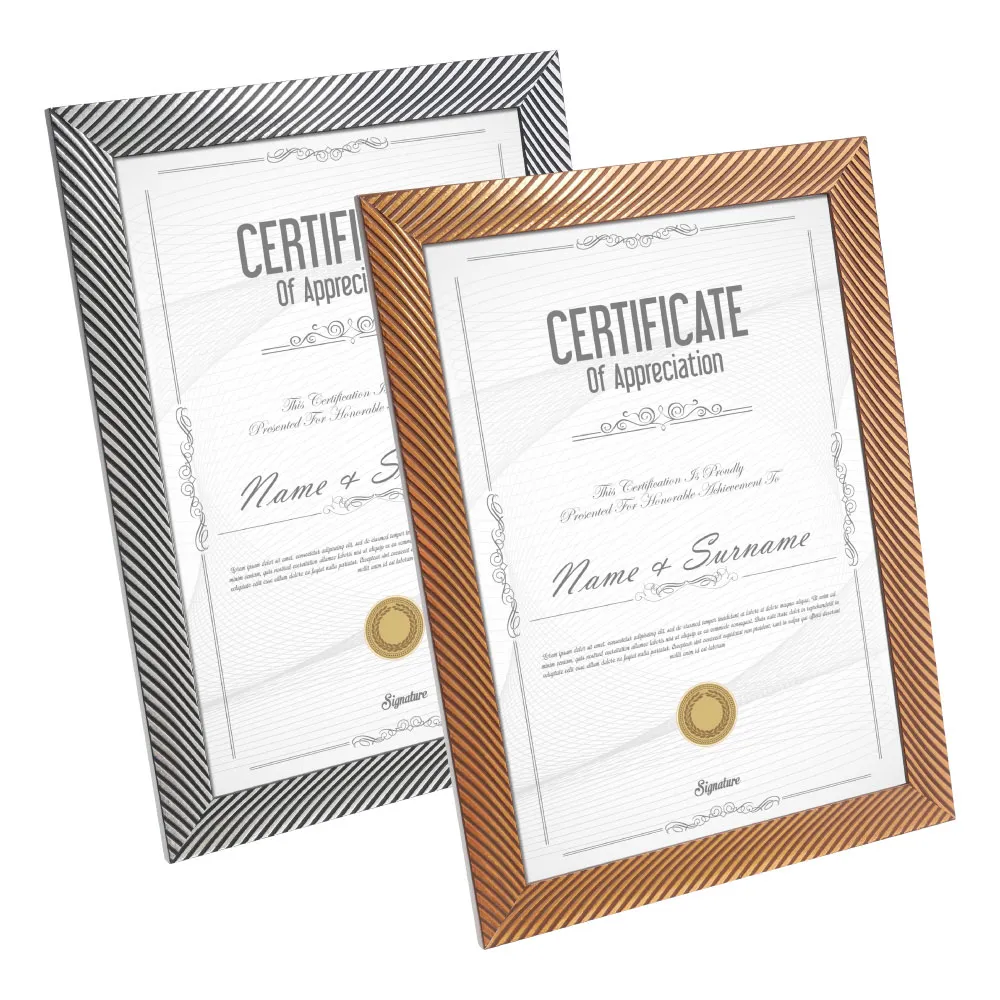 TRENY 斜背透明網格無塵包-12吋 歷史價格詳細信息