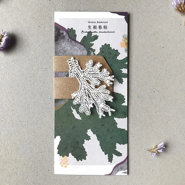 生根劑   生根  生根壯苗發根劑果樹沖施肥植物通用花卉移栽樹木扦插快速生根竹 歷史價格詳細信息