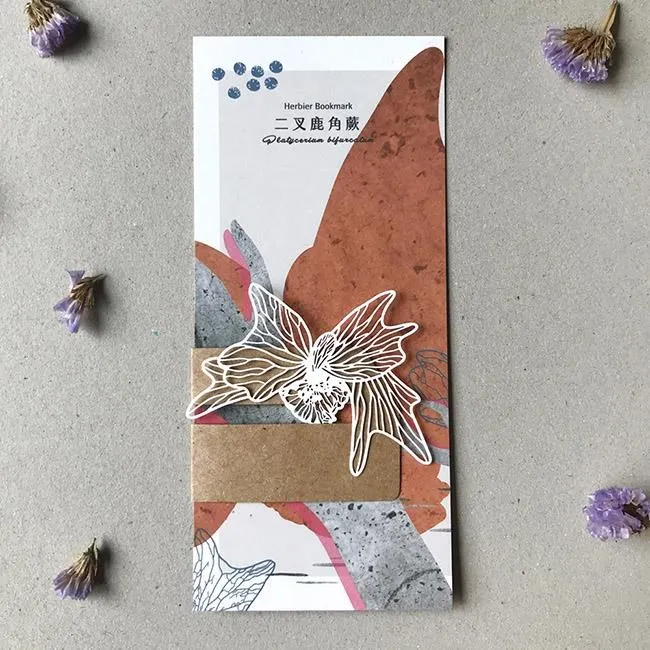 【FERN ONLY 只有蕨】蕨類標本紙雕-臺灣原始觀音座蓮 歷史價格詳細信息