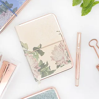 Airtex Airbrush XP735 Plus Painting Tool XP735+ 歷史價格詳細信息