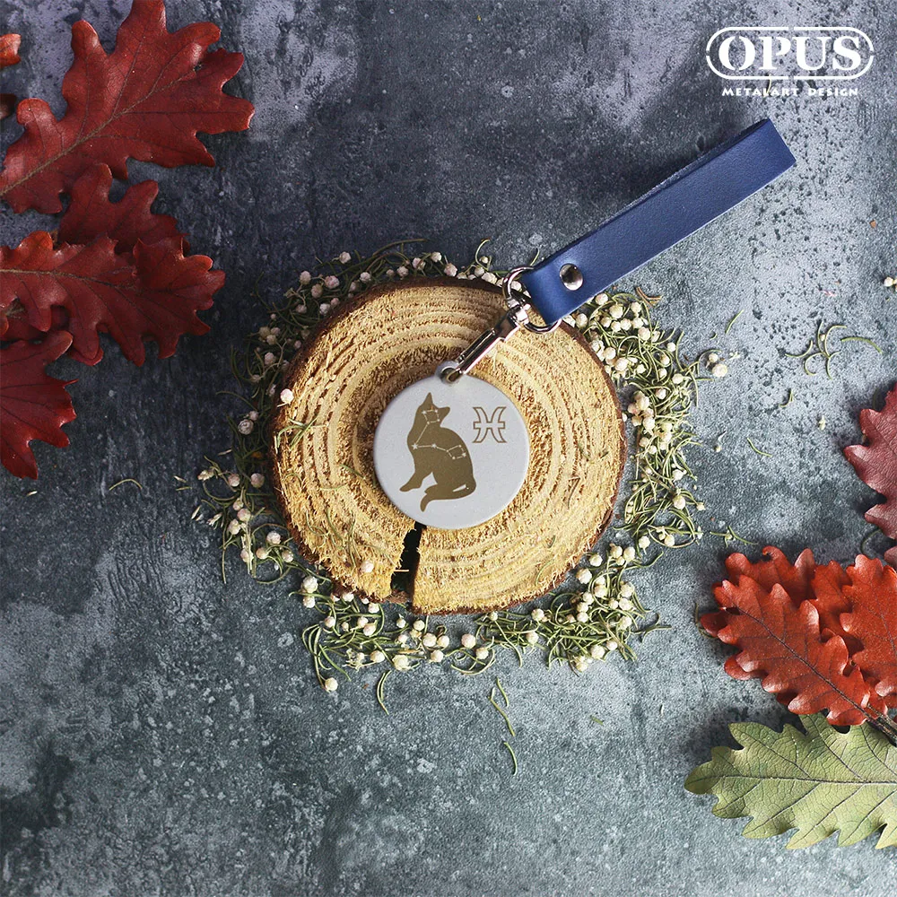 【OPUS東齊金工】不鏽鋼廁所標示牌-邂逅-男方款/戶外WC指示牌 SB-me06-S(S) 歷史價格詳細信息