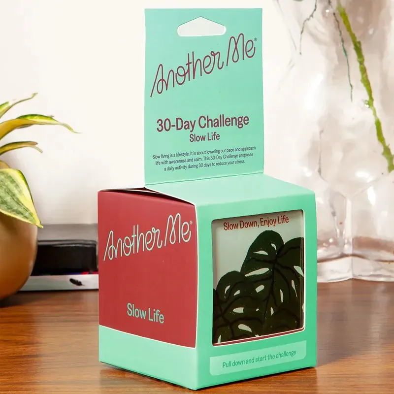 Another Me 好睡眠三十天 歷史價格詳細信息