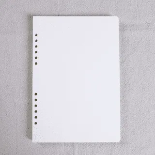 【iPaper】活頁紙 聖經版本 6孔共用 UCCU Paper personal Personal 空白 歷史價格詳細信息