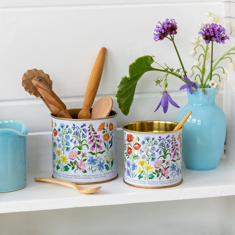 《Rex LONDON》罐頭造型筆筒2件(印度大象13cm) 歷史價格詳細信息