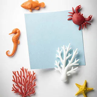 QUALY 海洋抽屜收納盒 三入組 歷史價格詳細信息