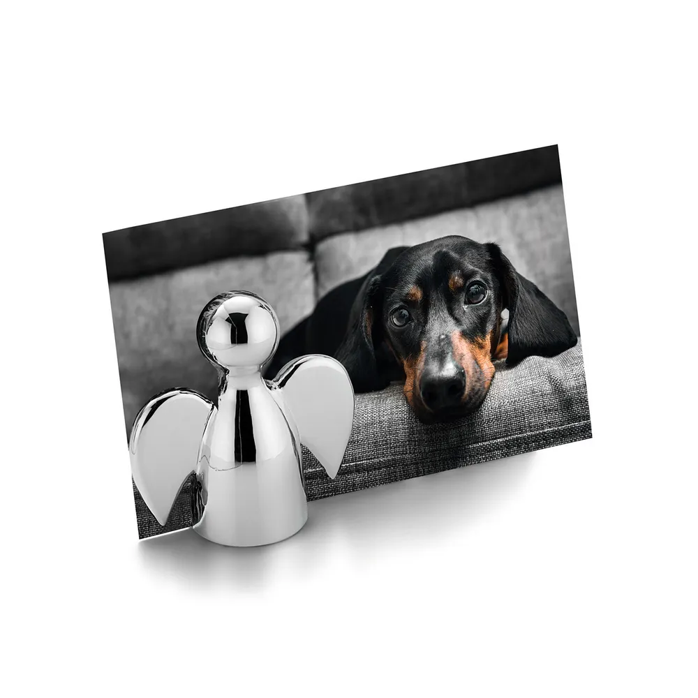 PHILIPPI 鏡亮弧形簡約酒架 歷史價格詳細信息