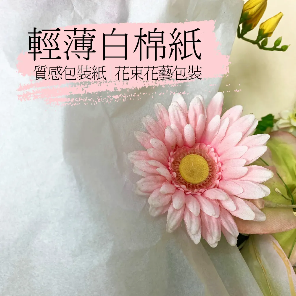 【克林CLEAN】白日夢專業繪本 416mmX294mm 內頁日本紀州輕塗紙20張 歷史價格詳細信息